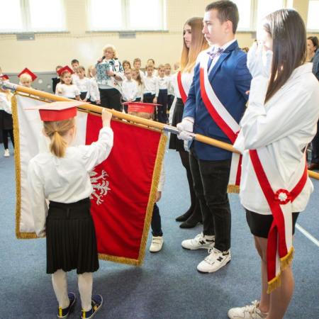 Wyświetl org. rozmiar