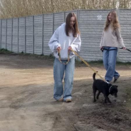 Wyświetl org. rozmiar