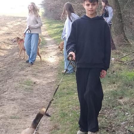Wyświetl org. rozmiar