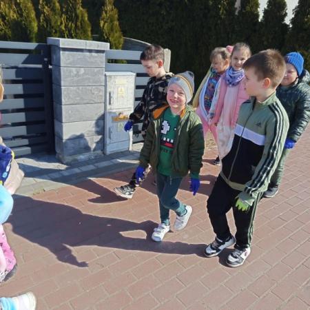 Wyświetl org. rozmiar