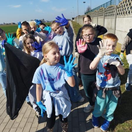 Wyświetl org. rozmiar