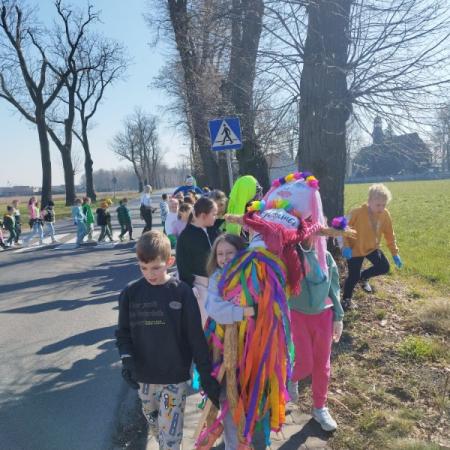 Wyświetl org. rozmiar