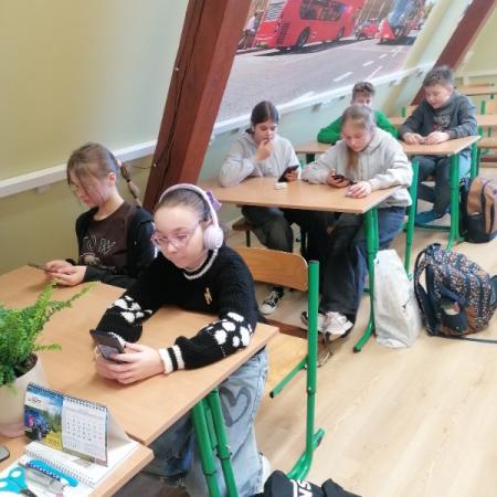 Wyświetl org. rozmiar