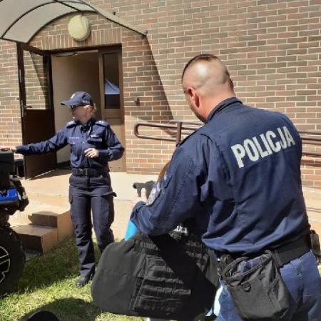 Wyświetl org. rozmiar