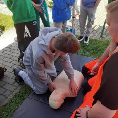 Wyświetl org. rozmiar