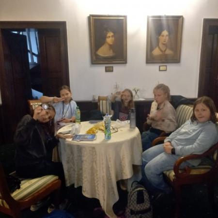 Wyświetl org. rozmiar